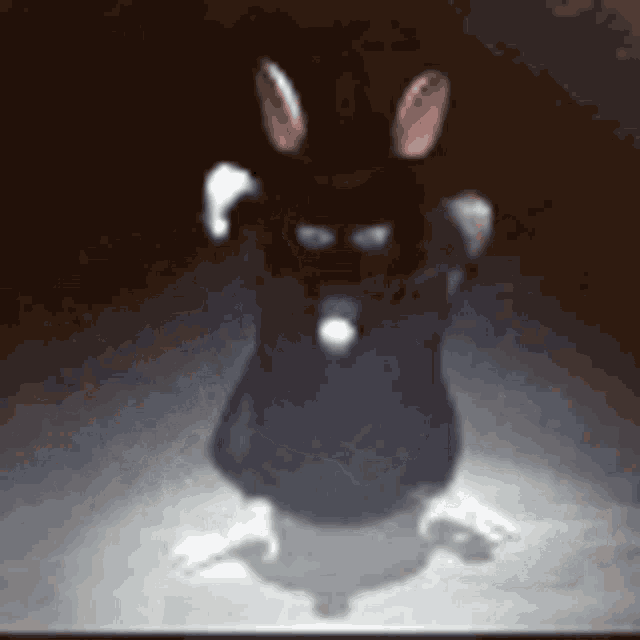 mouse rat dancer