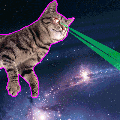 Cat Laser Battle