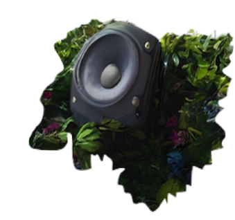 forest speaker
